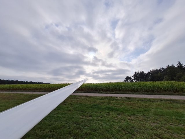 2021_09_05_Sarah_A (3)